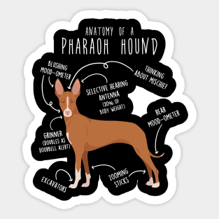 Pharaoh Hound Dog Anatomy Sticker